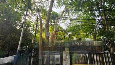 Jual Tanah di Tanah Abang IV Jakarta Pusat Bisa Bangun Gedung TInggi Letak Strategis Kawasan Perkantoran Tanah Abang Jakarta Pusat