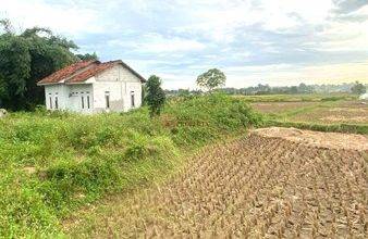Tanah Padat Sawah Legok Dapat Di Lalui Mobil Engkel Sudah SHM Dekat Dengan Berbagai Fasilitas Tangerang Banten